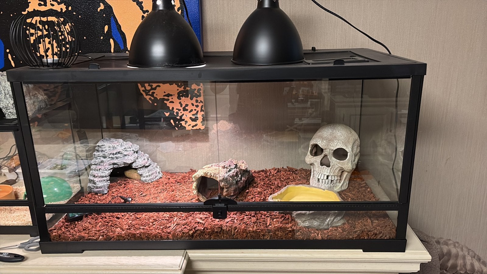 Terrarium - REPTO TERRA L, Enlèvement, Comme neuf, Terrarium ou Paludarium