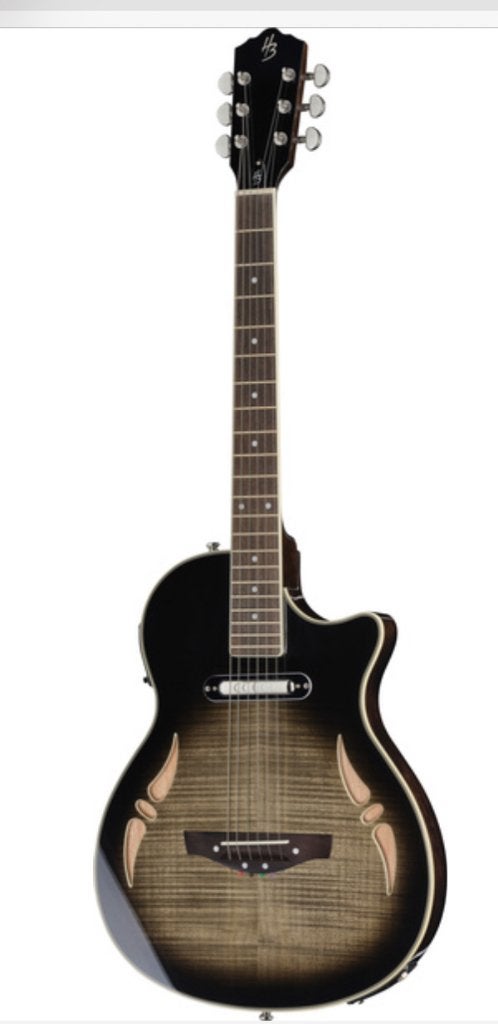 Electric acoustic guitar, Muziek en Instrumenten, Ophalen, Nieuw, Overige typen, Met (piezo-)element