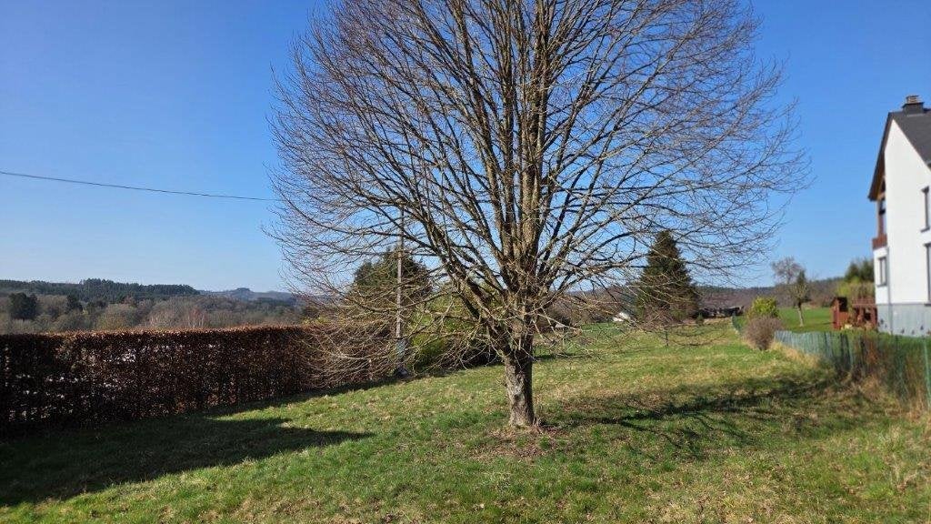 Herbeumont: grond van 22a 30ca, woongebied., Immo, Herbeumont, 1500 m² of meer