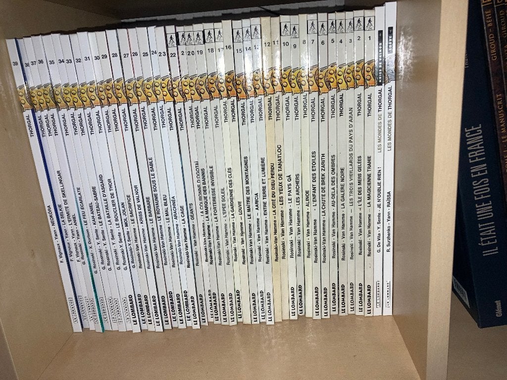 BD Thorgal 1 à 39 + 2 Mondes de Thorgal, Livres, Série complète ou Série, Enlèvement, Utilisé
