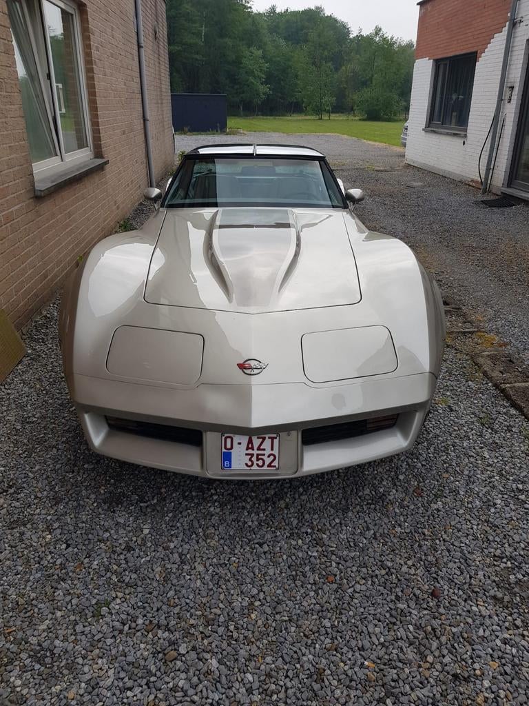 Chevrolet Corvette C3. Overeen te komen naast de wagen, Particulier, Achat, Chevrolet