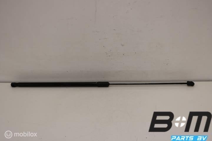 Gasdrukveer motorkap Audi A3 8V 8V0823359, Utilisé
