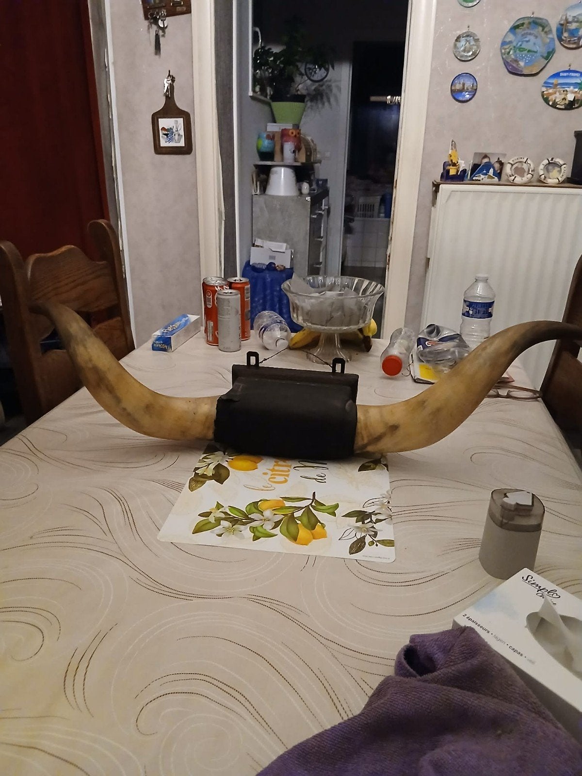 Cornes de taureau, Antiquités & Art, Enlèvement