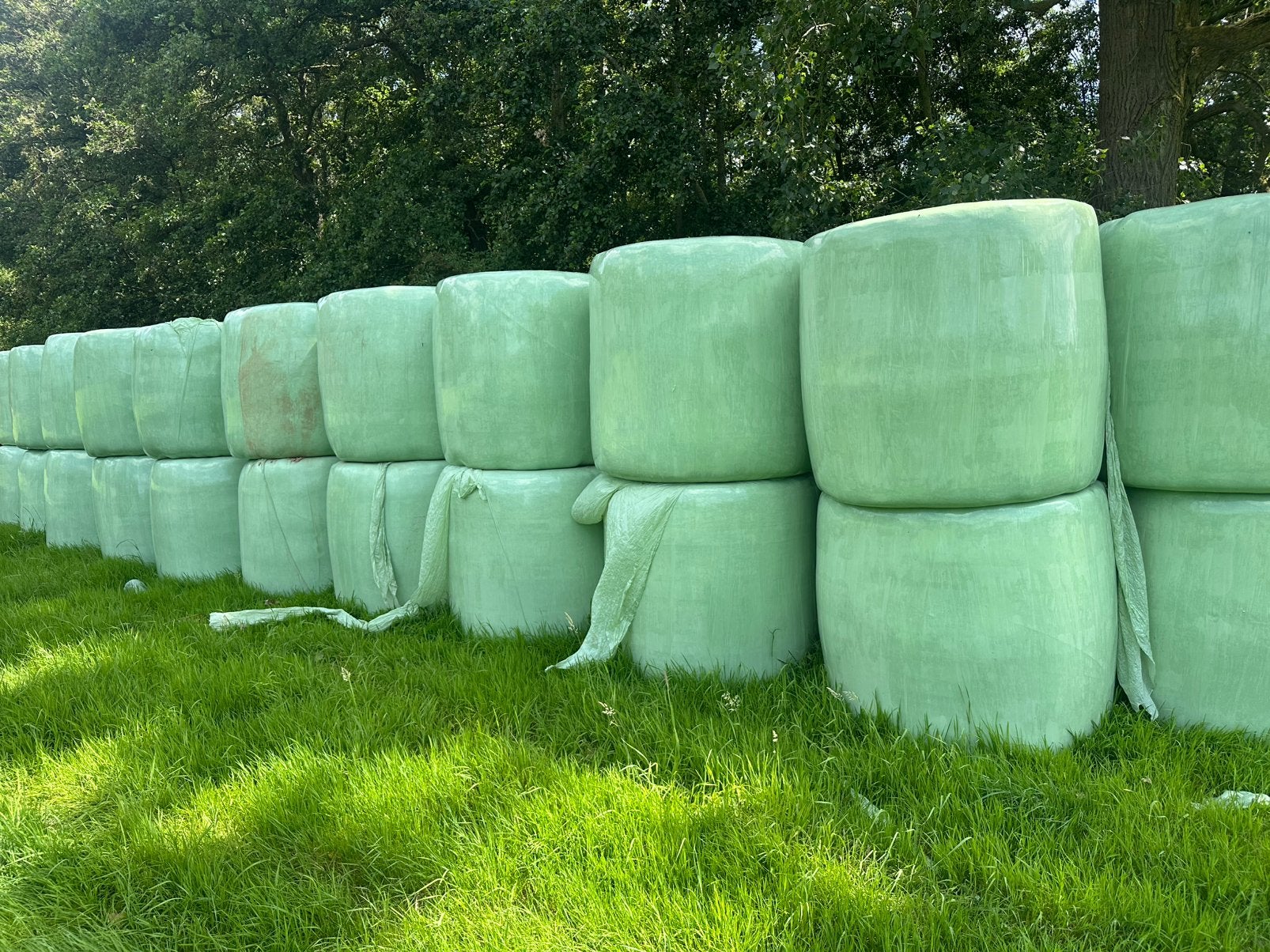 Eerste snede droog gras, Zakelijke goederen, Landbouw | Veevoer, Ophalen