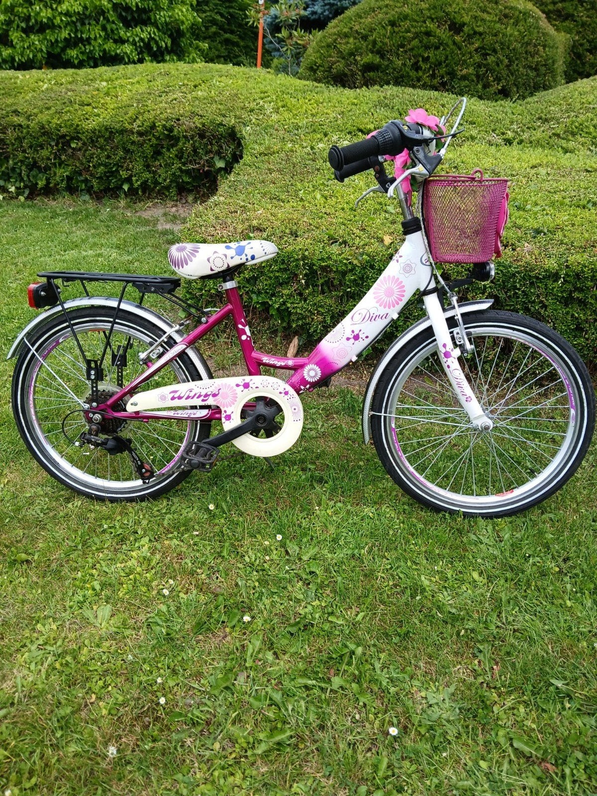 Diva 20 inch 6 tot 9j, Enlèvement, 20 pouces, Vitesses