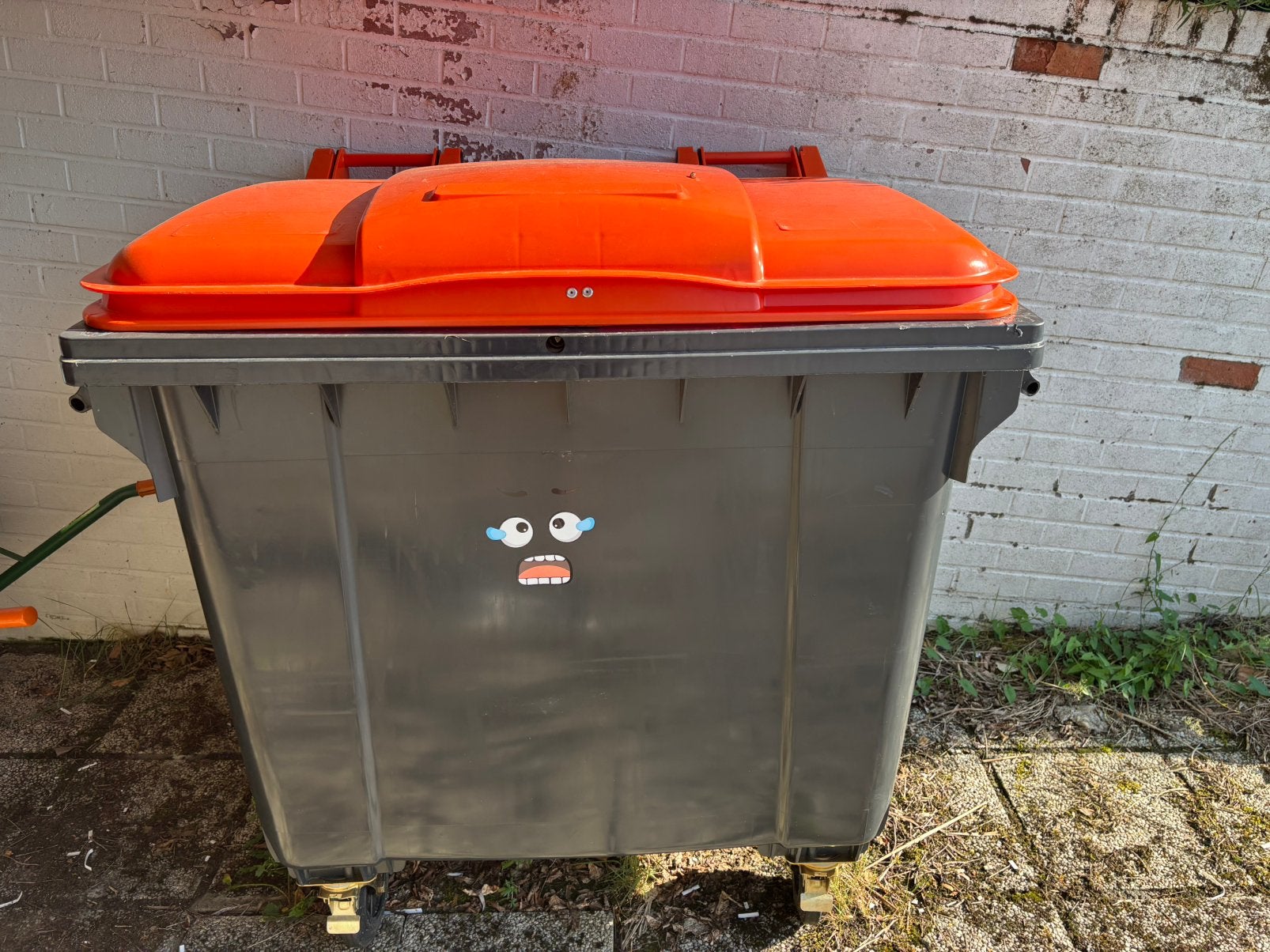 Poubelle container, Enlèvement, Comme neuf