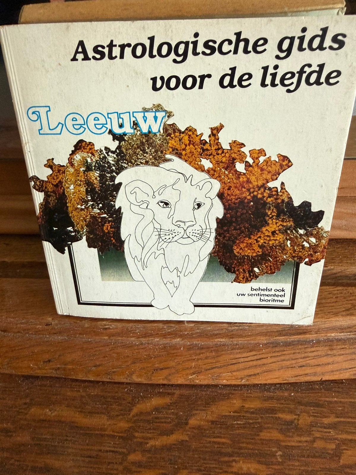 Astrologische Gids Voor De Liefde, Ophalen of Verzenden, Zo goed als nieuw, Astrologie, Overige typen