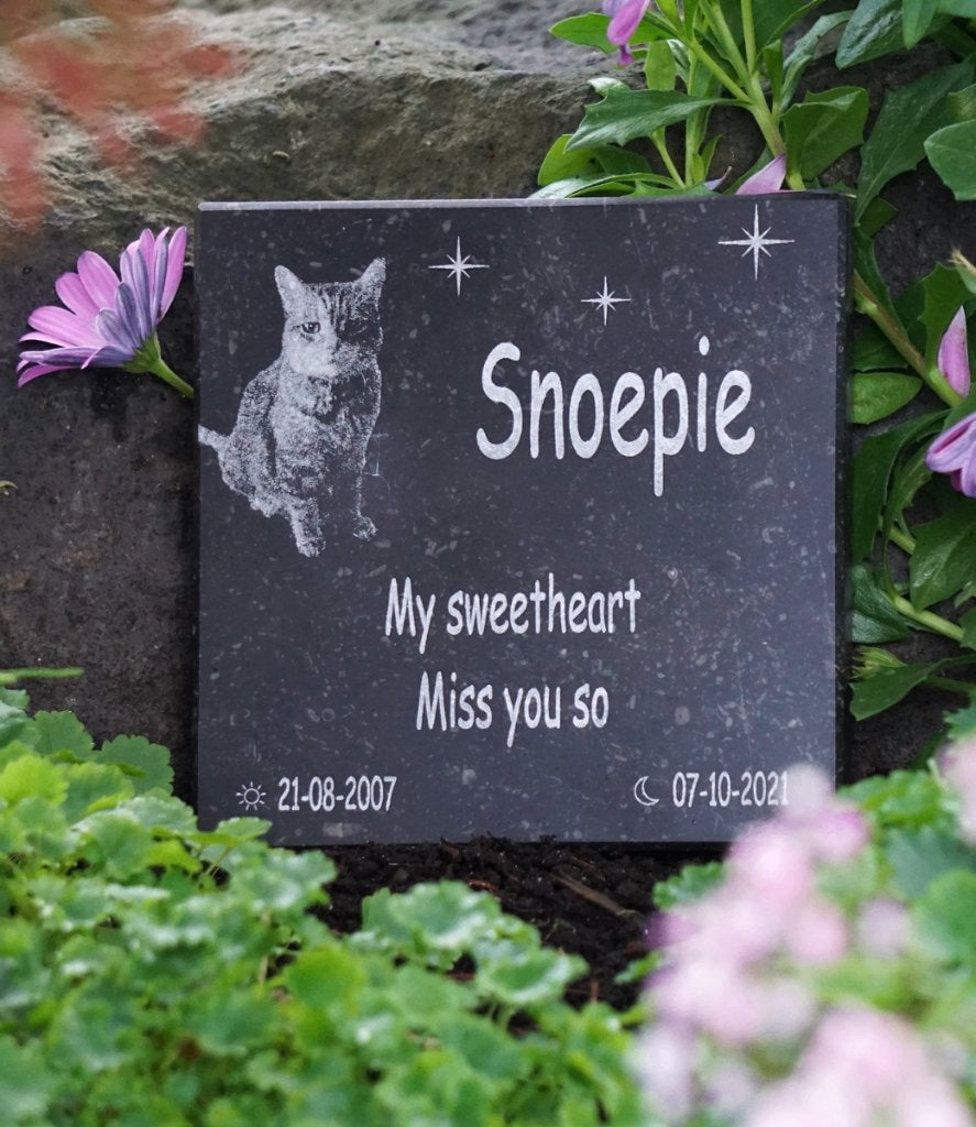 Gedenksteen van hardsteen voor hond of kat met fotogravure, Overige merken, Ophalen of Verzenden, Overige typen