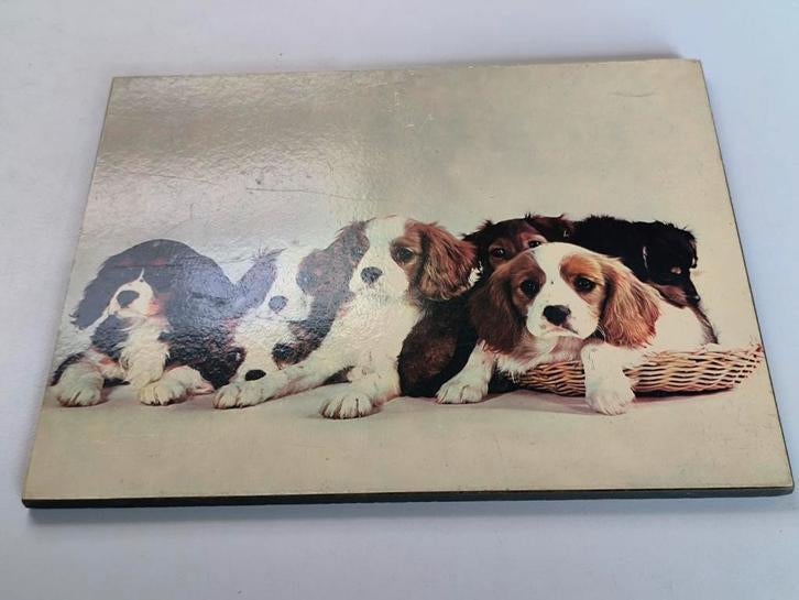 Prent op geperst hout, Cavalier King Charles, Enlèvement ou Envoi