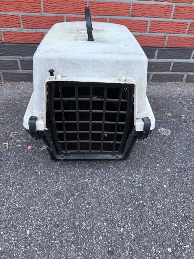 Vervoer mand kat, Dieren en Toebehoren, Ophalen, Gebruikt