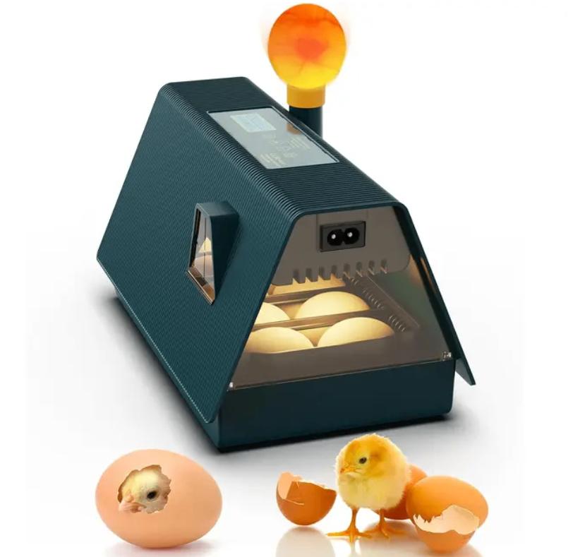 Offre d'incubateur WonEgg House + œufs à éclore GRATUITS, Envoi, Neuf, Couveuse