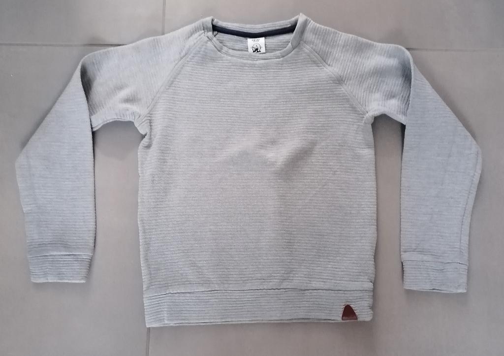 Sweater Hema,maat 134, Kinderen en Baby's, Kinderkleding | Maat 134, Trui of Vest, Ophalen of Verzenden, Zo goed als nieuw, Hema