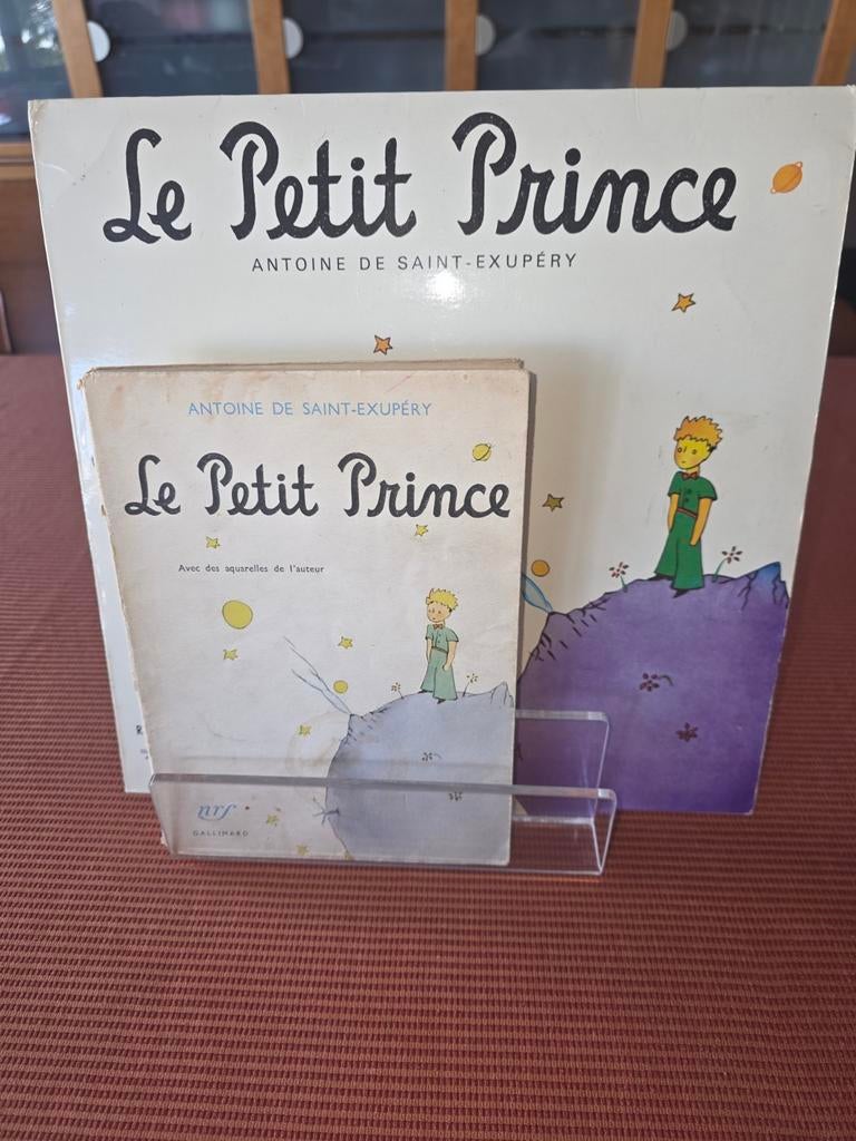 Le Petit Prince - Antoine de Saint-Exupéry, Enlèvement