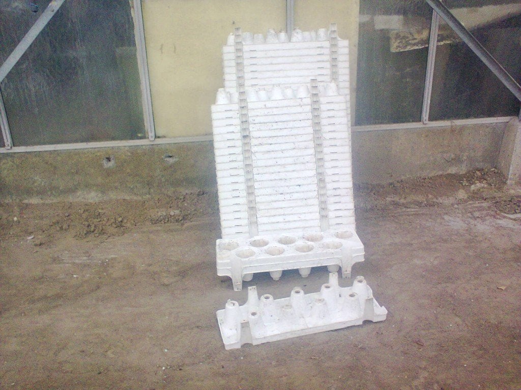 trayplaten ( 1000 stuks ) 9 gaats voor opkweek aardbeien, Tuin en Terras, Ophalen, Gebruikt, Minder dan 30 cm, 60 tot 100 cm