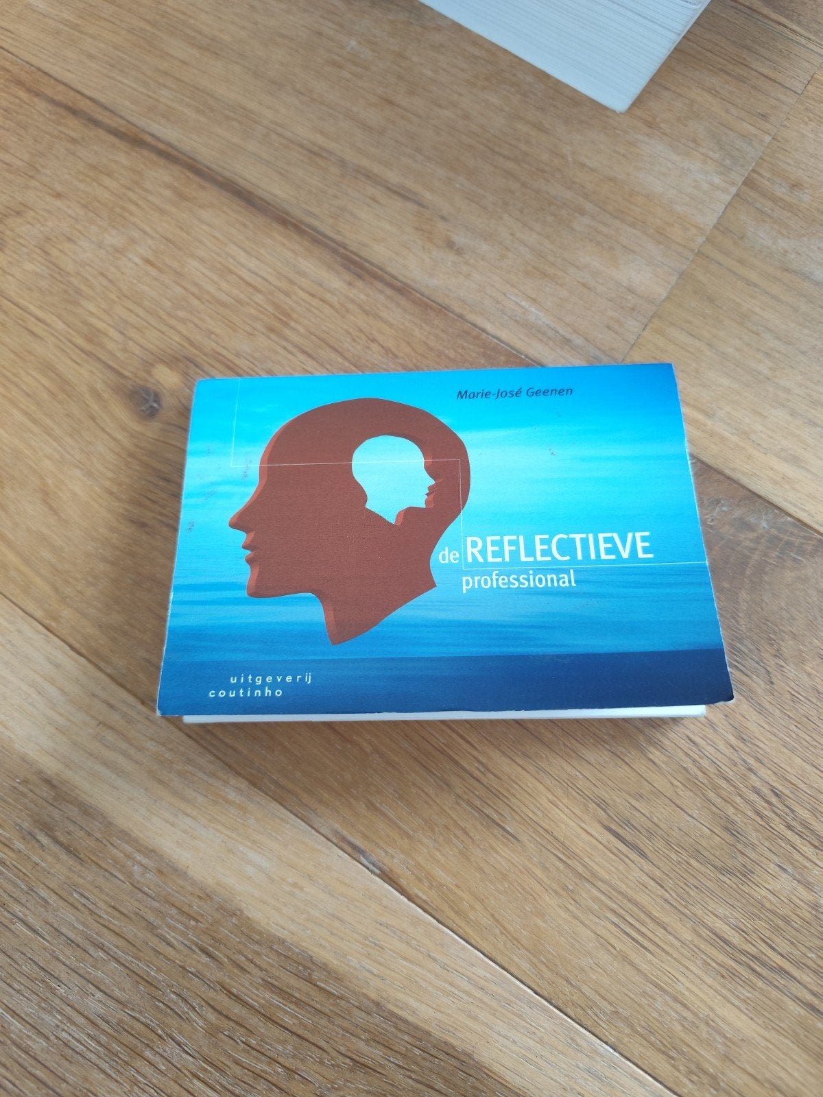 Marie - Jose Geenen - De reflectieve professional, Enlèvement ou Envoi, Marie - Jose Geenen