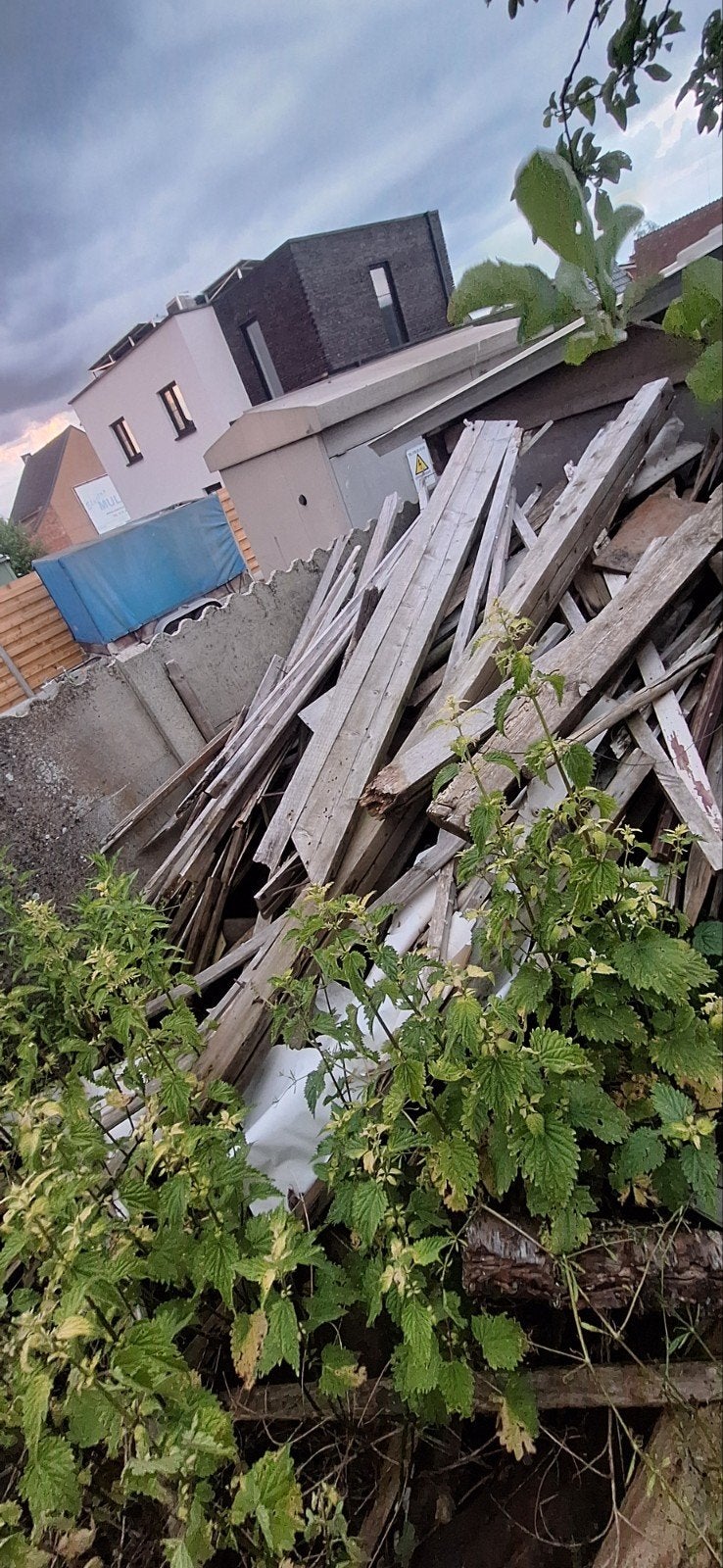 Gratis brandhout, Ophalen