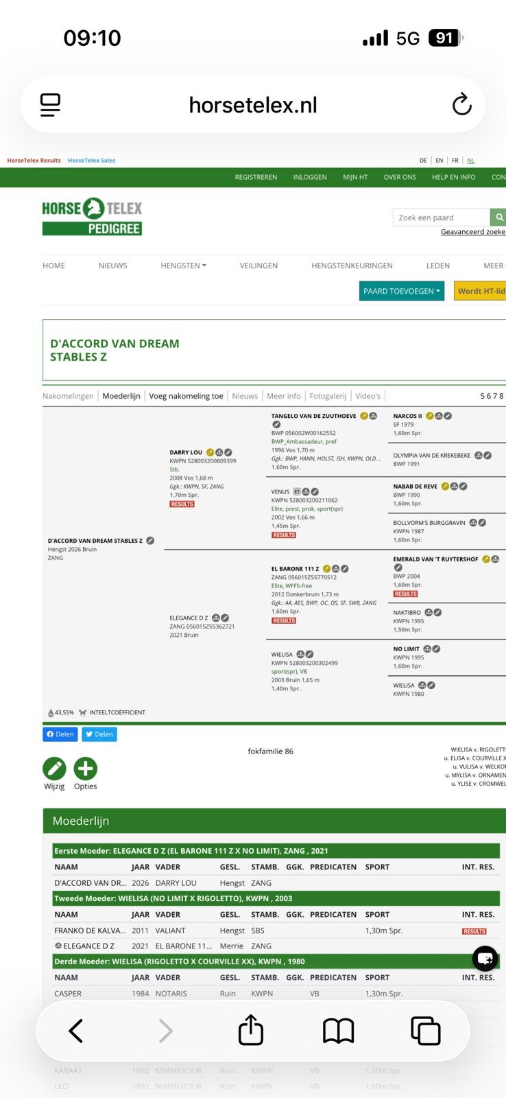 Hengstenveulen te koop, Avec pedigree, Étalon, 0 à 2 ans, Non dressé