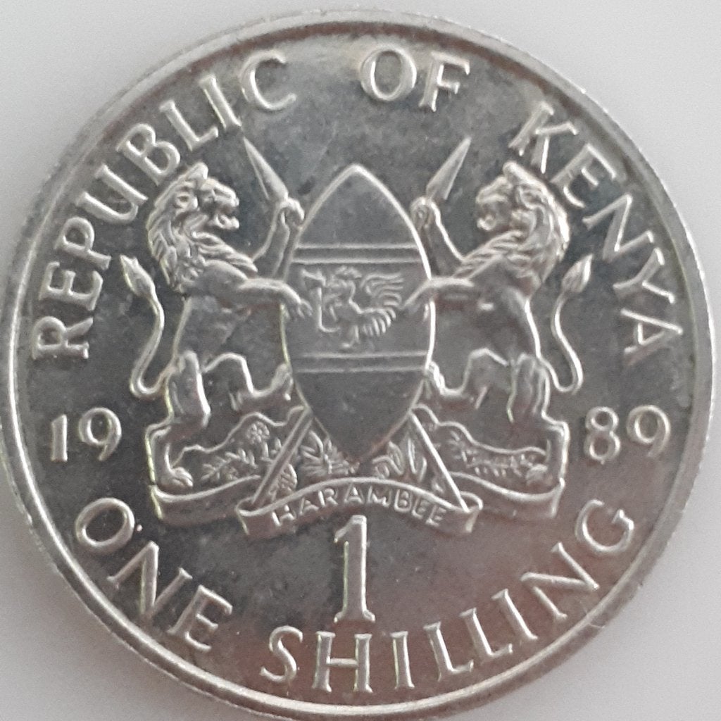 KENIA: 1 SHILLING 1989 KM 20 Br.UNC, Timbres & Monnaies, Monnaies | Afrique, Enlèvement ou Envoi, Autres pays, Monnaie en vrac