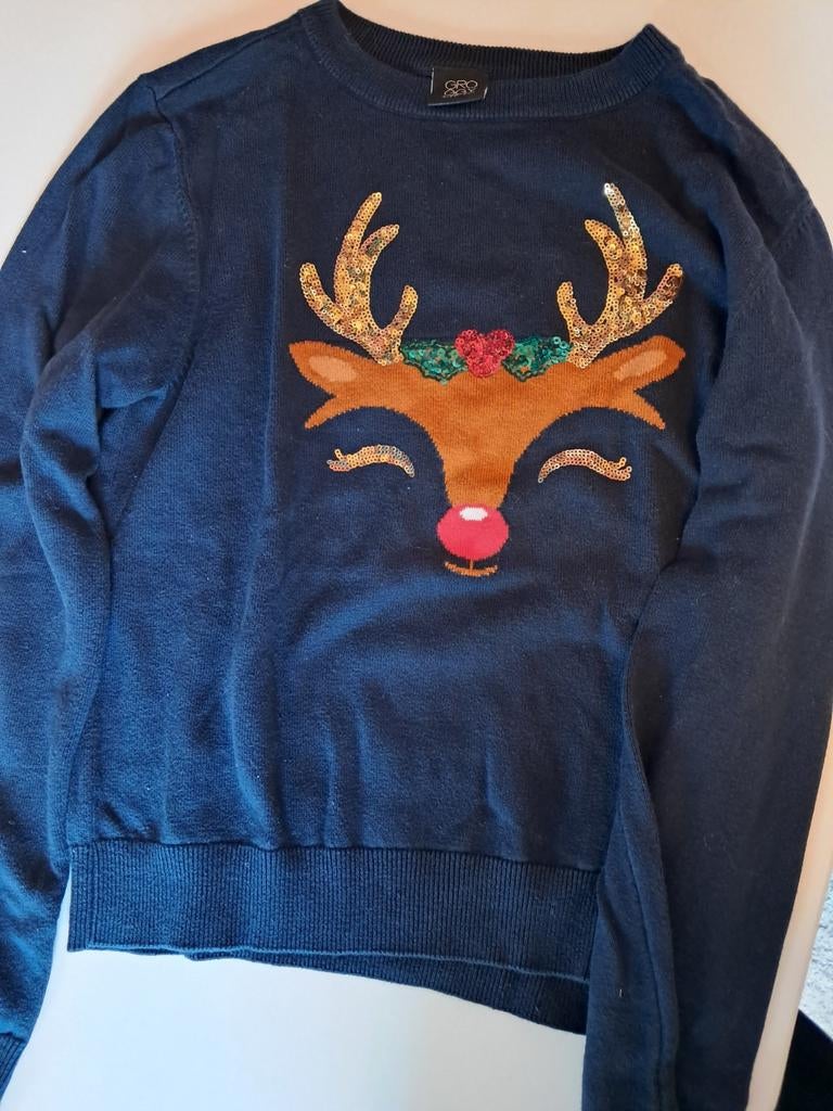 Pull de Noël bleu foncé en forme de renne et sequins — taill, Groggy by JBC, Enlèvement ou Envoi, Brun, Taille 34 (XS) ou plus petite