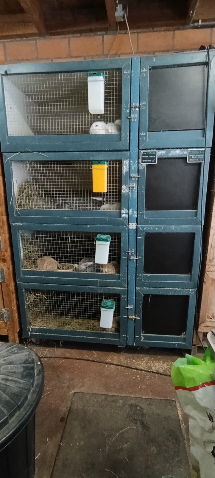 konijnenhok - konijnenflat - flat voor cavia's, Animaux & Accessoires, Rongeurs & Lapins | Cages & Clapiers, Utilisé, Niche, 90 cm ou plus