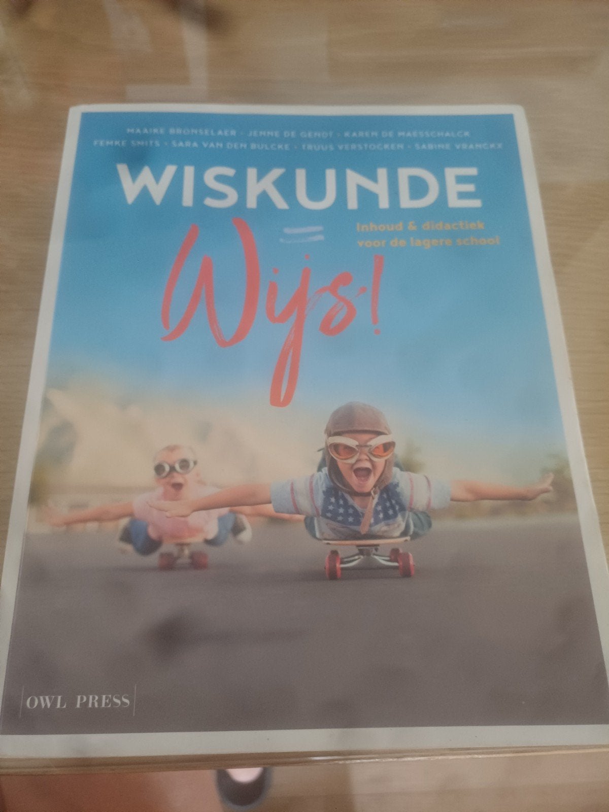 studieboek Wiskunde Wijs, Ophalen of Verzenden