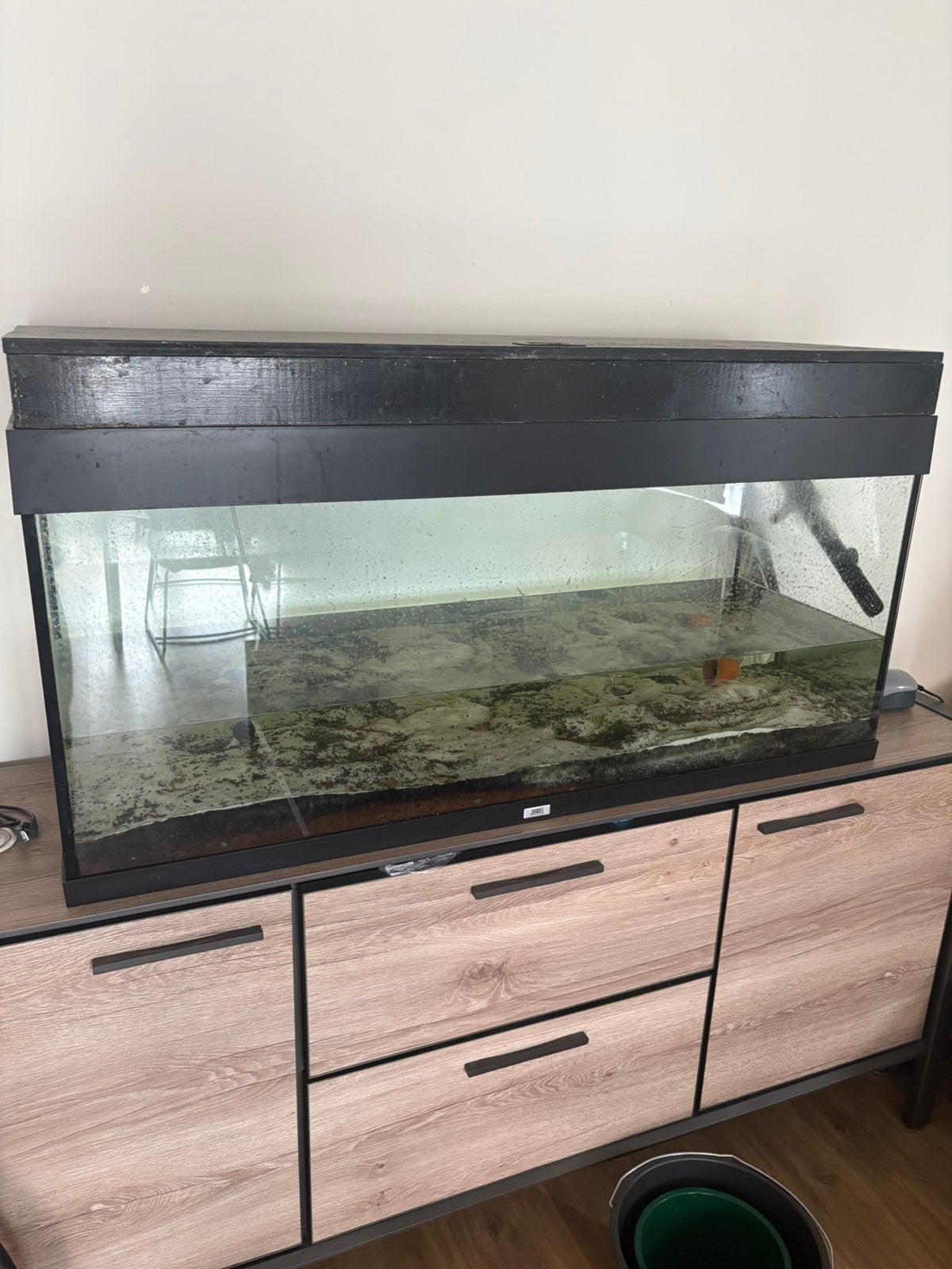 Aquarium, Enlèvement, Comme neuf