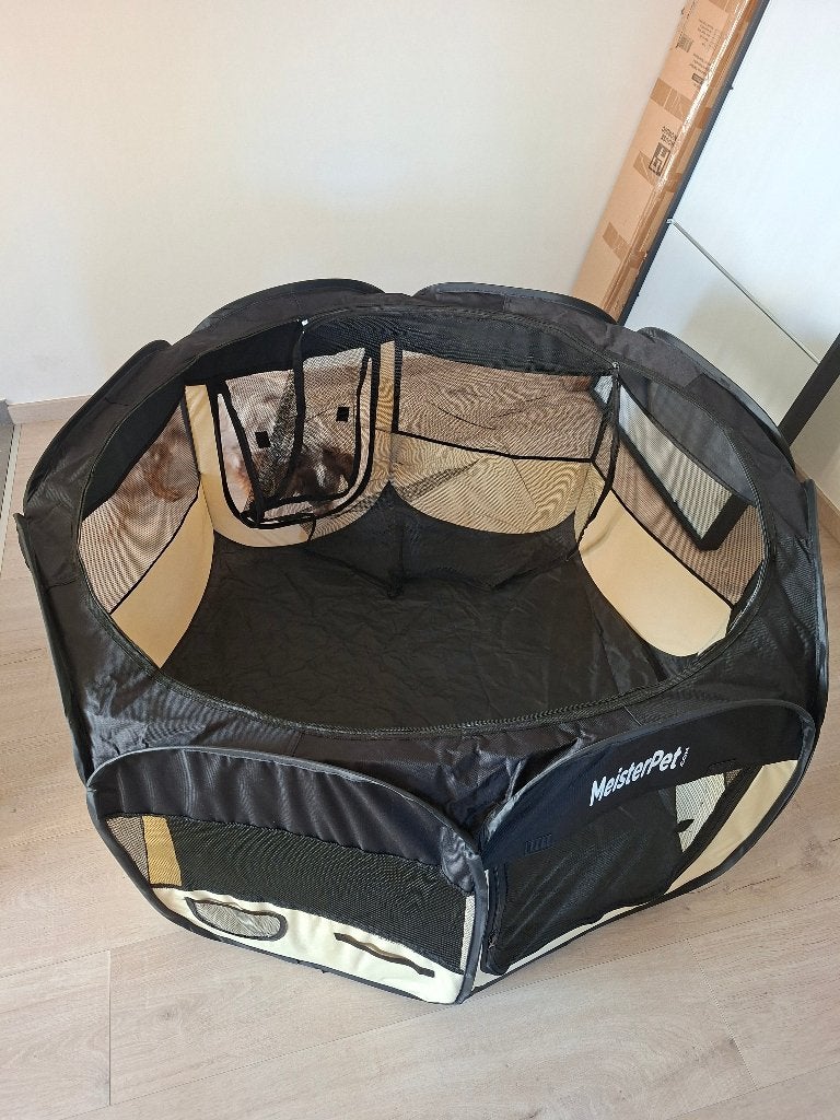Puppyren, Dieren en Toebehoren, Ophalen of Verzenden, Nieuw