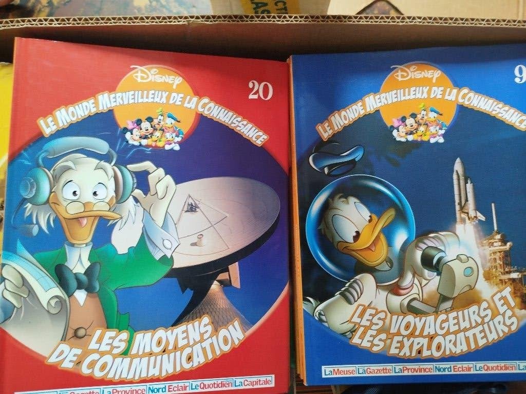 Livres, Enlèvement, Comme neuf, Primaire, Disney