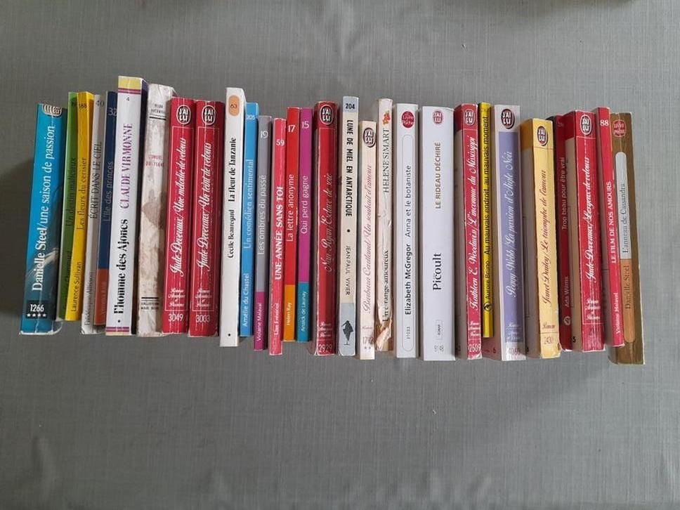 Lot de 29 romans collection J"ai lu & autre style Harlequin, Boeken, Romans, Gelezen, Ophalen of Verzenden