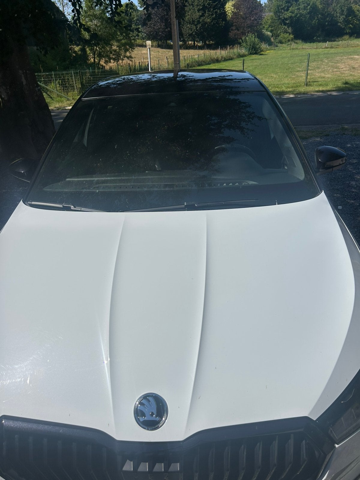 Voiture, Autos, Skoda, Achat, 5 portes, 5 places, Automatique