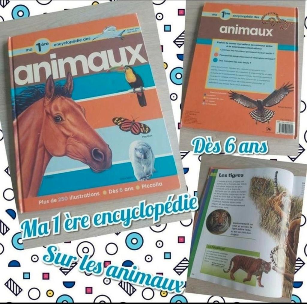 Ma 1ère encyclopédie pour enfant "les animaux "dès 6 ans, Livres, Encyclopédies, Enlèvement ou Envoi, Utilisé, Animaux