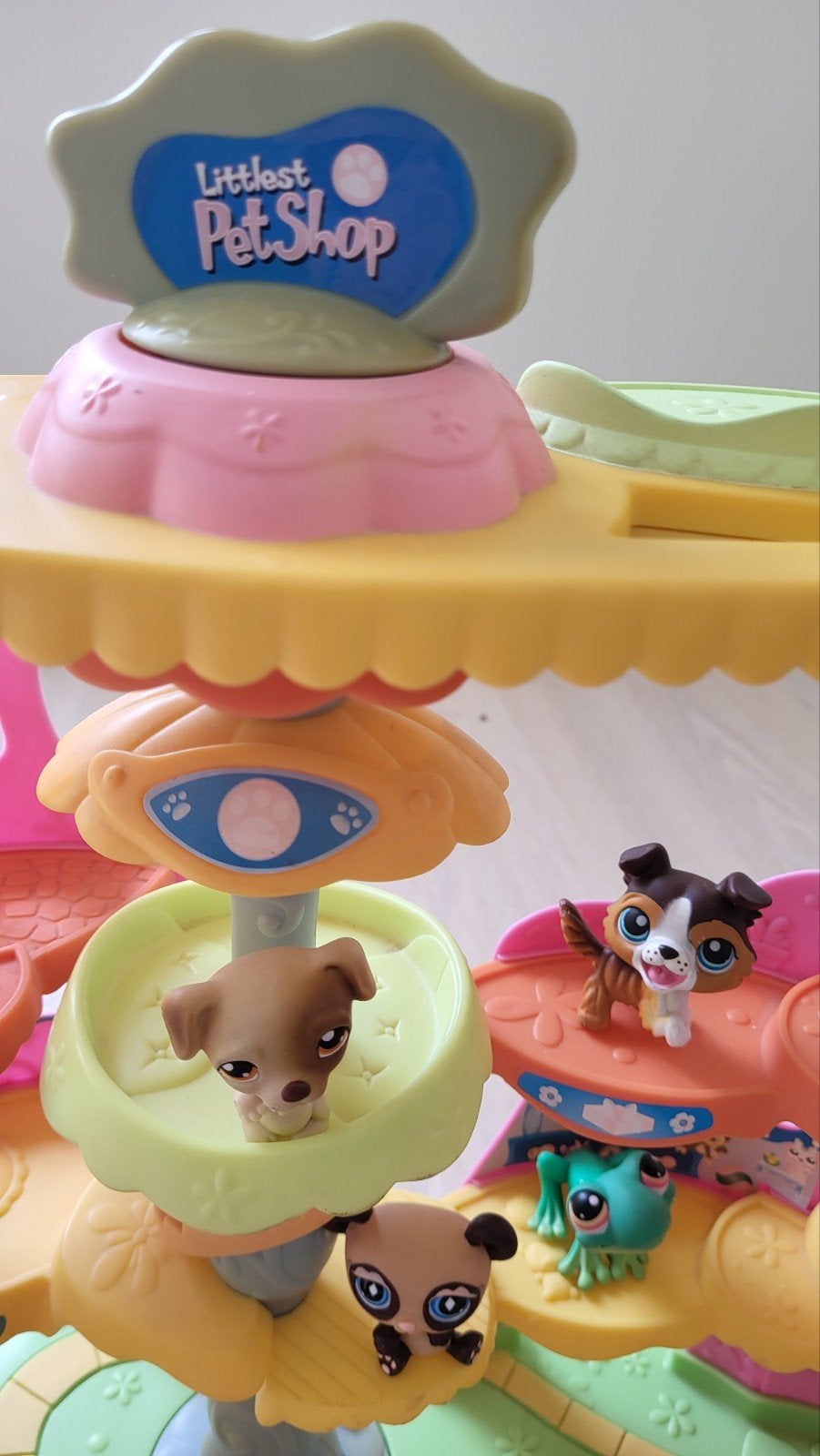 my little petshop, Enlèvement