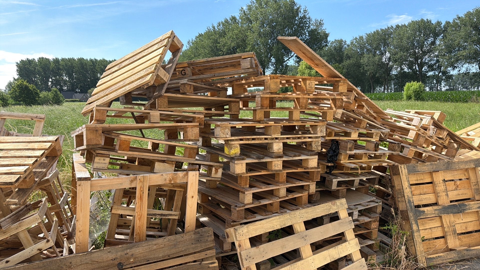 Brandhout gratis op te halen, Tuin en Terras, Brandhout, Ophalen