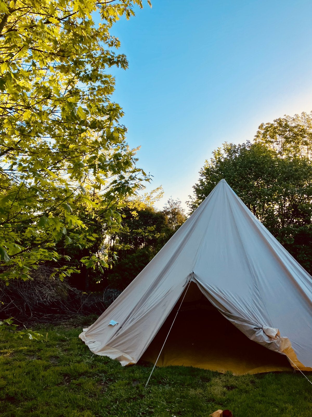 Bell Tent, Ophalen, Gebruikt, Tot en met 6