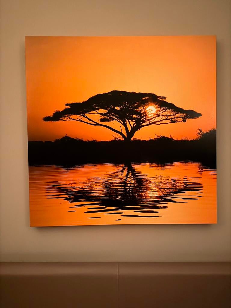 Groot modern canvas schilderij 100x100 zonsondergang, Antiek en Kunst, Kunst | Schilderijen | Abstract, Ophalen