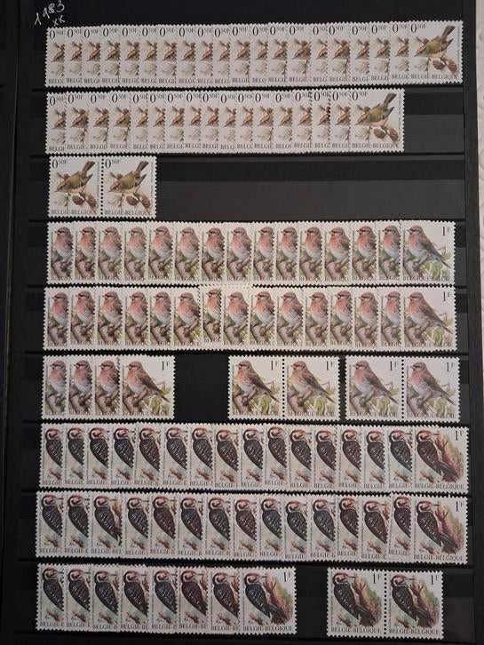 Belgique : oiseaux Buzin entre 0,50 et 9 Bfr en parfait état, Sans timbre, Neuf, Non oblitéré, Art