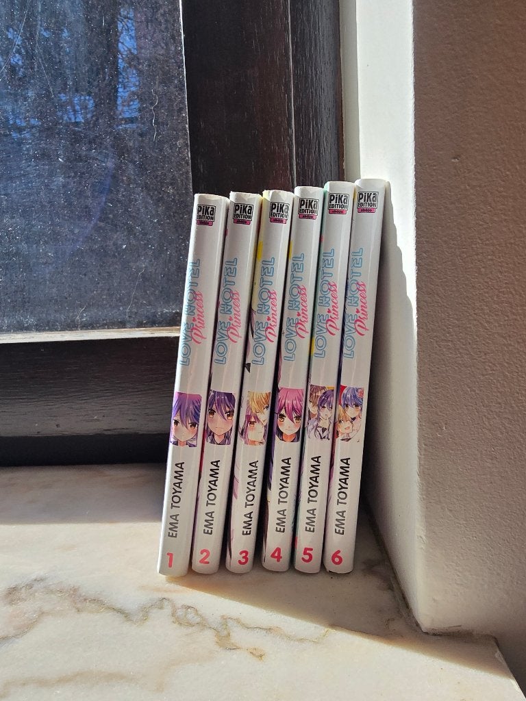 Manga Intégrale Love Hotel Princess, Livres, Enlèvement, Utilisé