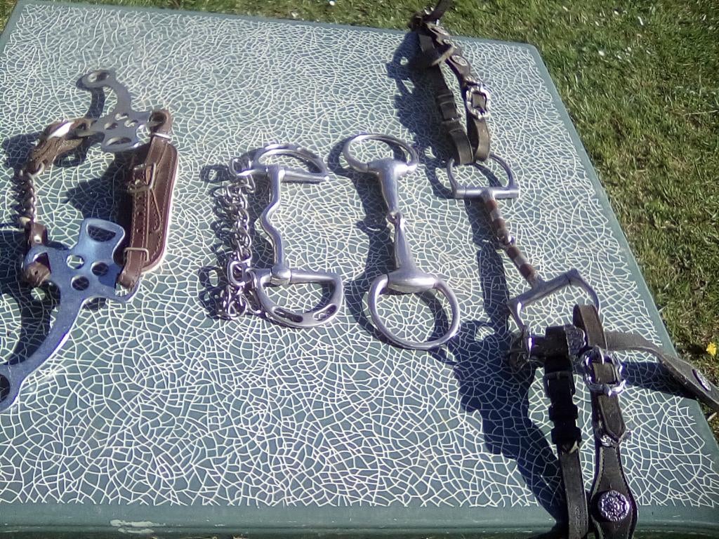 mors, Animaux & Accessoires, Enlèvement, Comme neuf