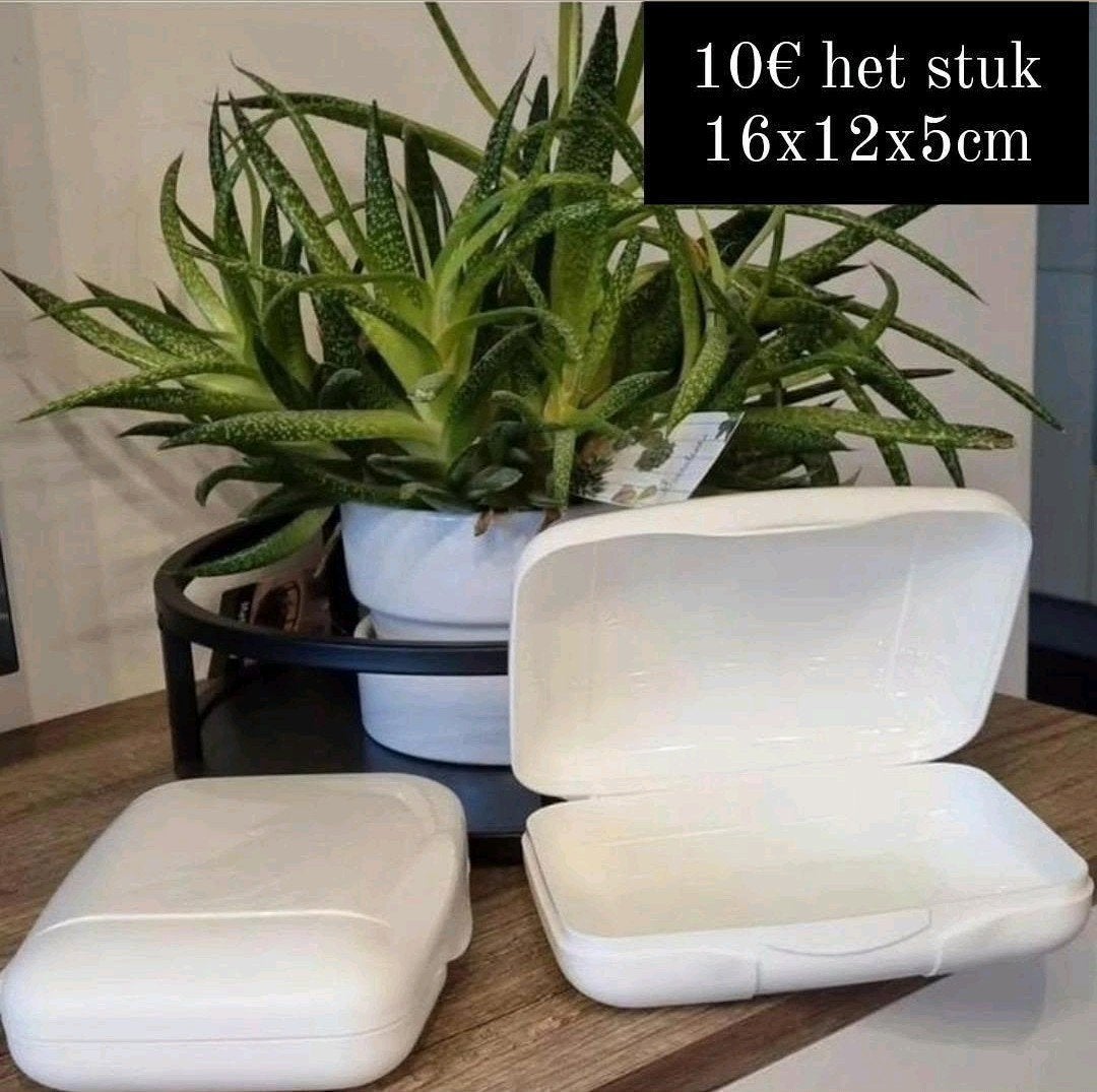 Boîtes à emporter Tupperware, Enlèvement ou Envoi, Neuf