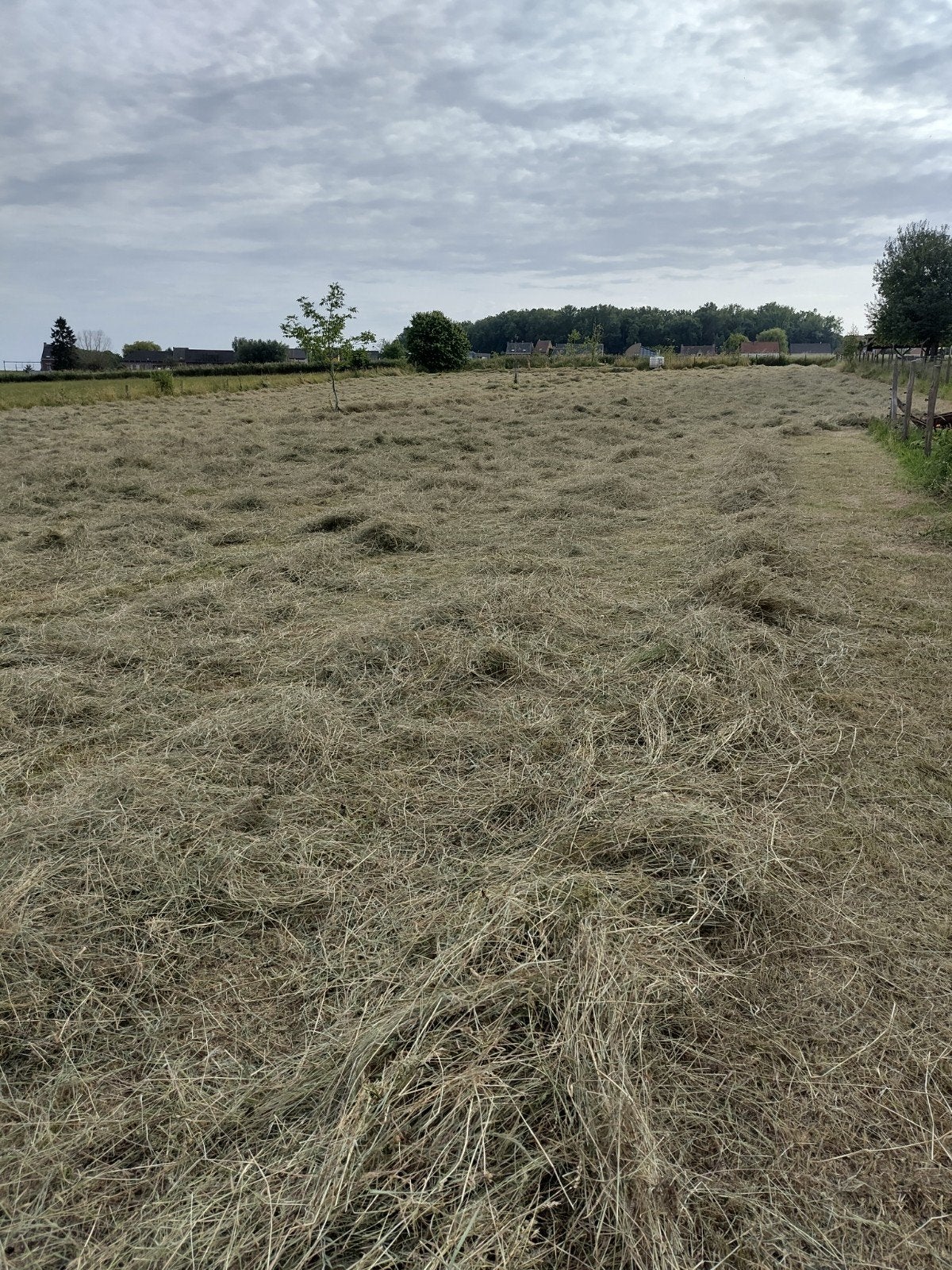 Hooi kleine botten (bio), Ophalen, Vee