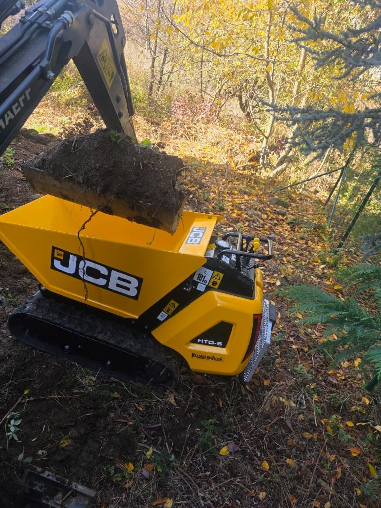 Location Dumper JCB