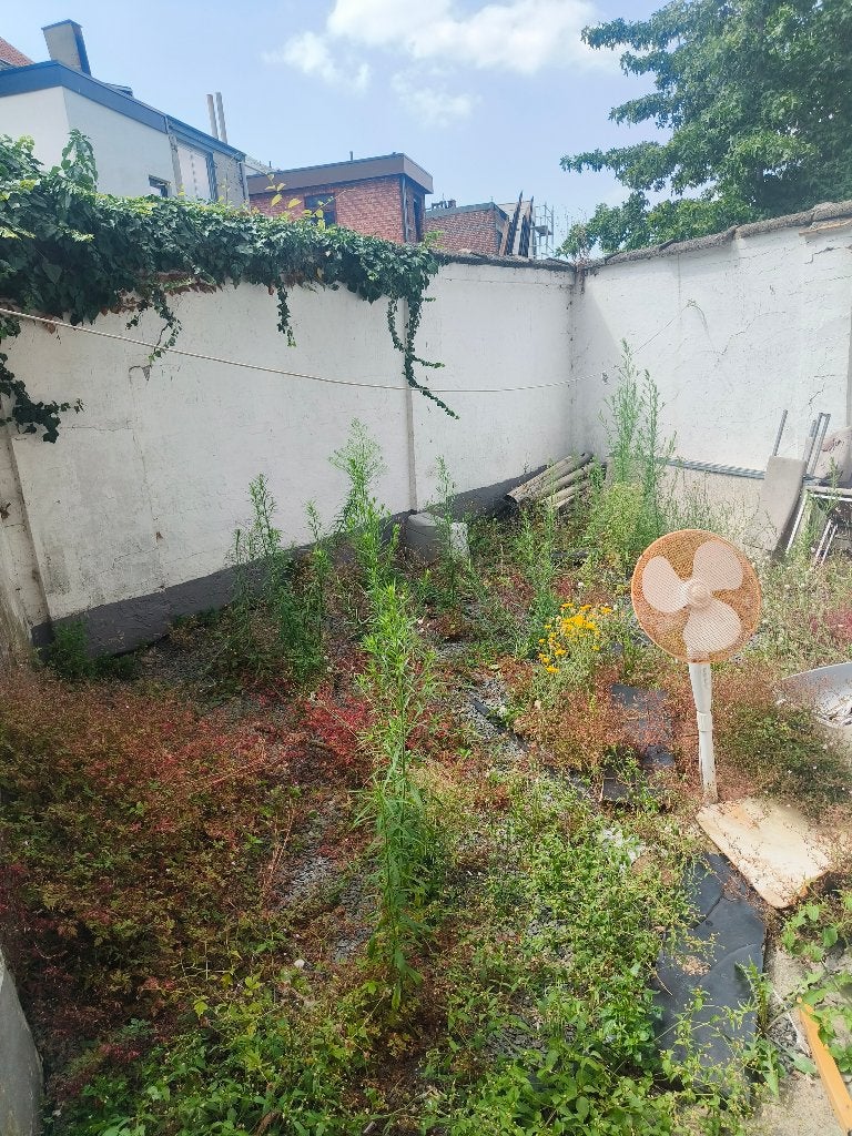 Appartement plus grote garage en tuintje en studio, Tot 200 m², Antwerpen, Antwerpen (stad), 2 kamers
