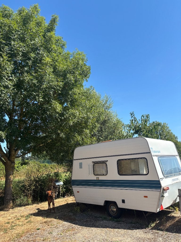 Caravan 750kg, Caravans en Kamperen, Caravans, Standaardzit, 2 aparte bedden, Tot en met 3, Particulier