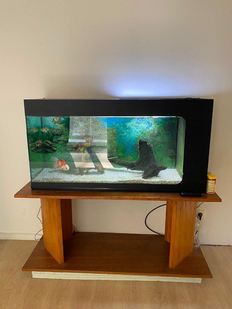 Aquarium +/- 240 L + 5 poissons + équipements, Animaux & Accessoires, Enlèvement, Poissons inclus, Comme neuf, Aquarium d'eau douce rempli