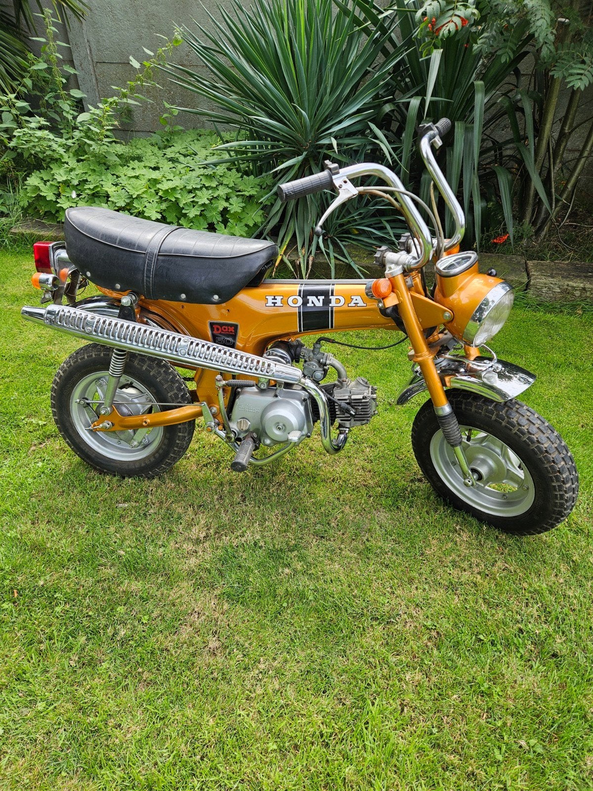 Prachtige Belgische Originele Honda dax, Fietsen en Brommers, Ophalen, Overige modellen, Nieuw, 49 cc