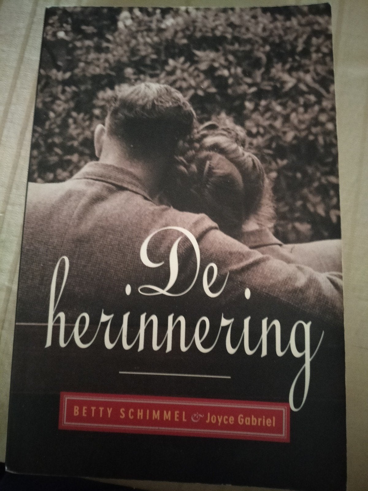B. Schimmel - De herinnering, Ophalen of Verzenden, B. Schimmel