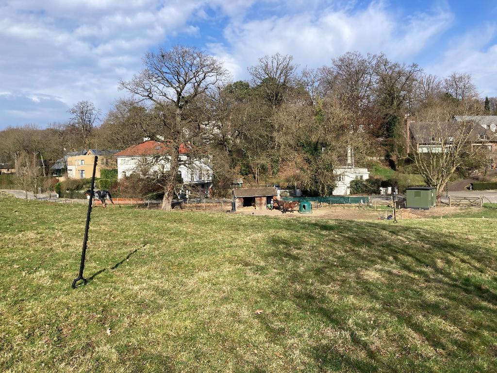 Une place en prairie Sud de Bruxelles pour un hongre, Pâturage, 1 cheval ou poney