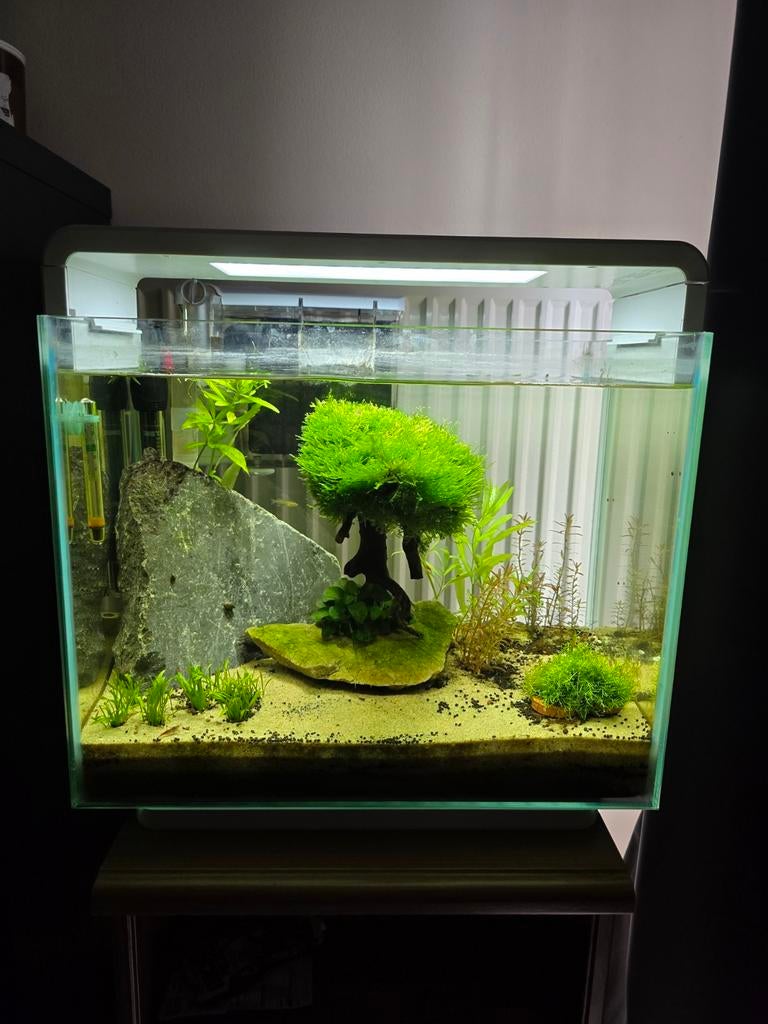 Superfish home 40, Enlèvement, Chauffage, Filter, Superfish