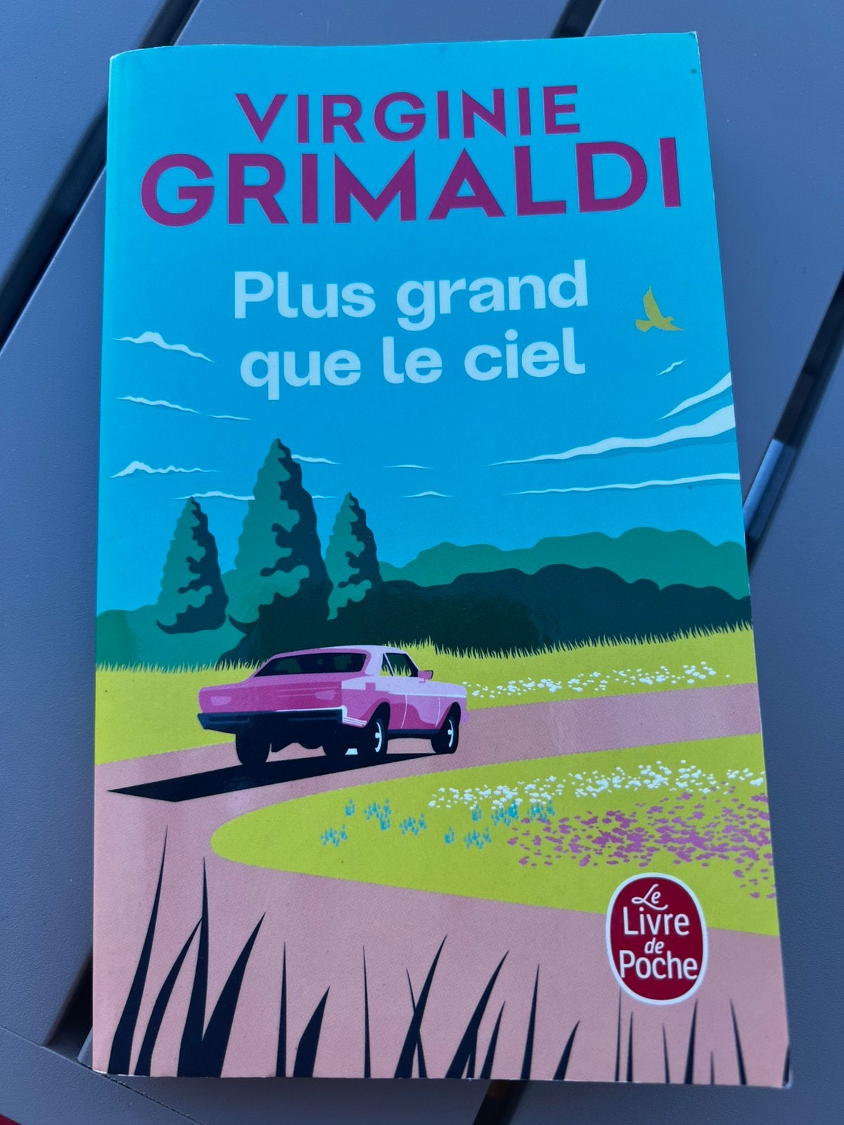 Roman Virginie Grimaldi, Livres, Enlèvement, Comme neuf
