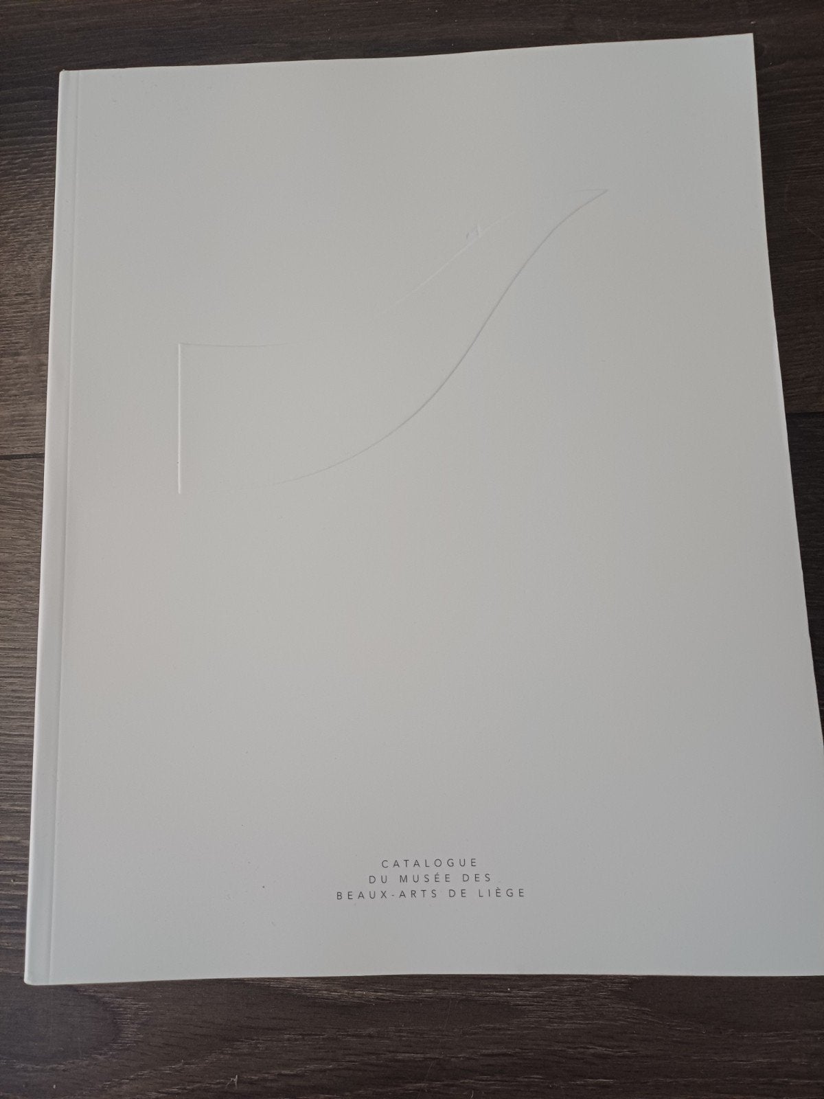 Catalogus Musée des Beaux-Arts de Liège, Boeken, Ophalen, Zo goed als nieuw